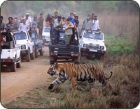Bandhavgarh National Park, Karnataka